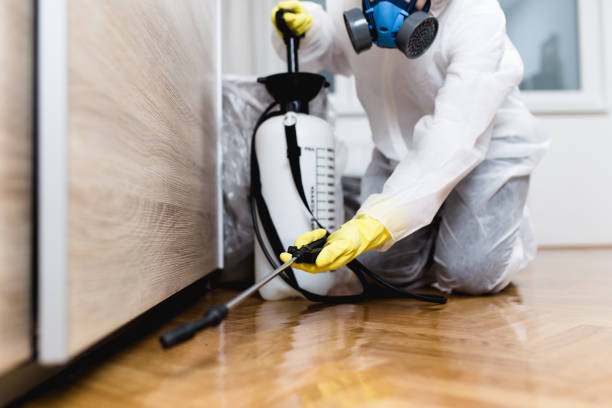 Best Pest Control Near Me in Kersey, CO