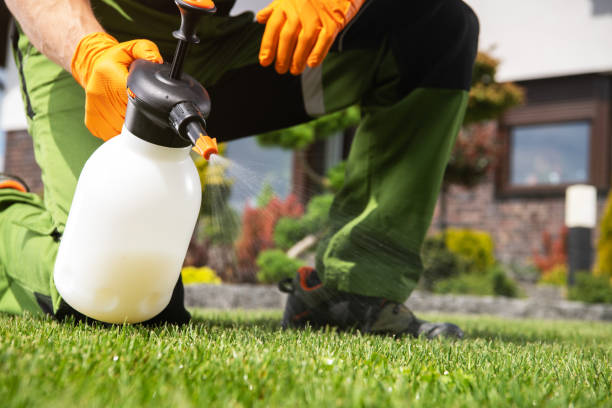 Best Wildlife Control Services  in Kersey, CO