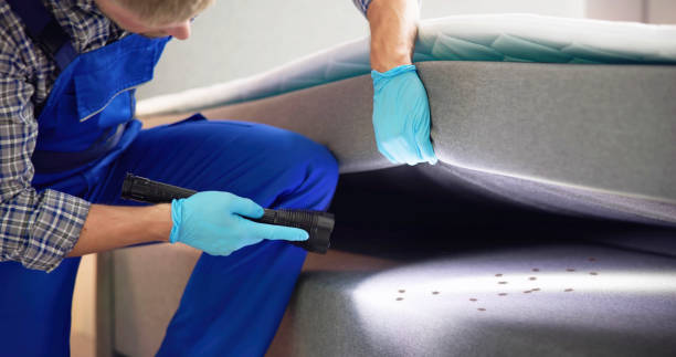 Best Residential Pest Control  in Kersey, CO