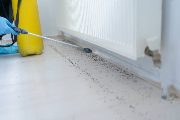 Best Emergency Pest Control  in Kersey, CO