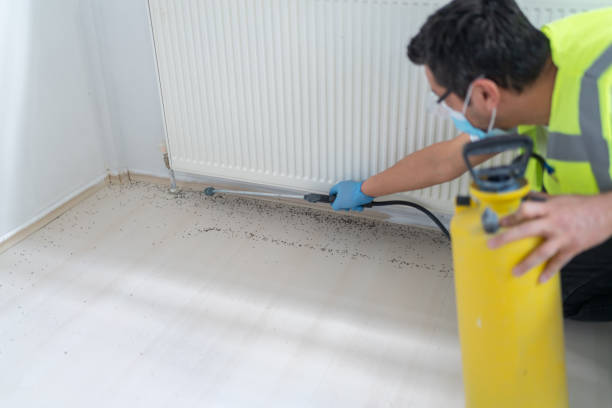 Pest Prevention Services in Kersey, CO