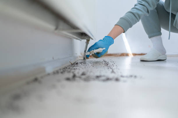 Best Pest Prevention Services  in Kersey, CO